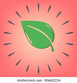 leaf sign. nature icon