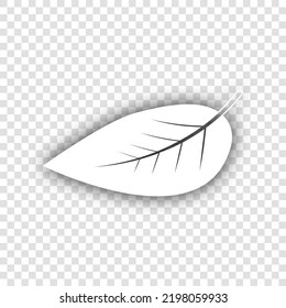 Leaf. Icono blanco con sombra gris natural caída en fondo transparente. Ilustración.