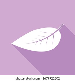 Leaf sign. White Icon with long shadow at purple background. Illustration.