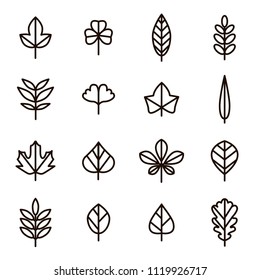 Leaf Signs Black Thin Line Icon Set Include of Maple, Clover, Oak and Birch. Vector illustration of Icons