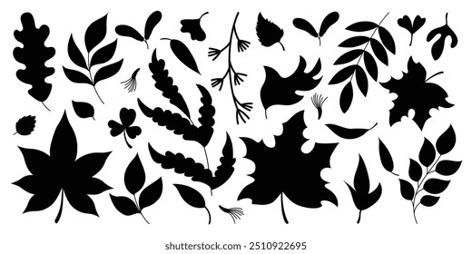 Leaf silhouette autumn. Tree icon, oak, maple, beech and chestnut. Fall nature black isolated decorative elements. Dry foliage, branch plant. Vector background, forest foliage organic flora tidy set