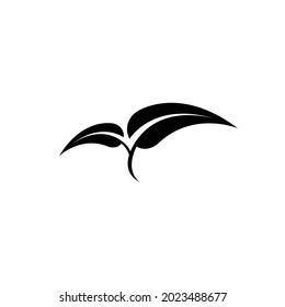 Leaf silhouette. black and white. Can be used for logos or icons.