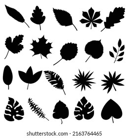 Leaf silhouette cartoon in flat style