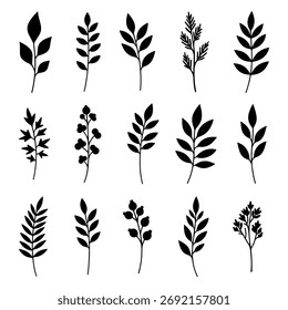 Leaf Silhouette Collection of Botanical Branches and Minimal Nature Elements