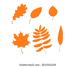 Leaf silhouette collection isolated on white background. Autumn foliage. Vector Illustration.