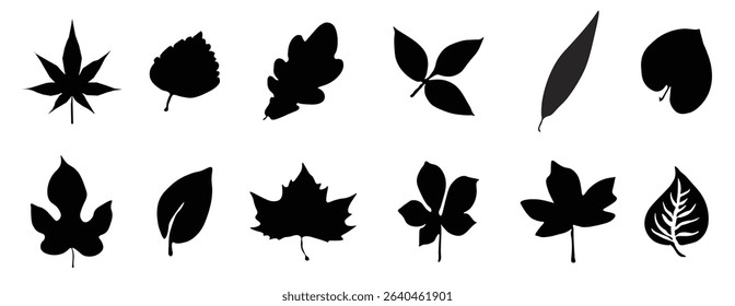 leaf silhouette design decoration vector illustration