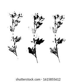 Leaf silhouette elements set isolated on white background. Vector illustration in black and white colors