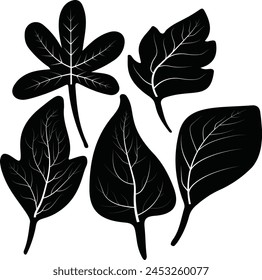 Blattsilhouette Elemente Tropische Blätter Illustration