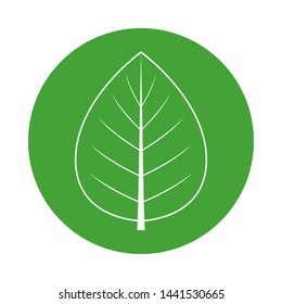 Leaf silhouette in green circle. Vector icon.