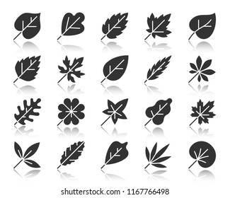 Leaf silhouette icons set. Monochrome sign kit of season foliage. Autumn Garden pictogram collection tropical herb, vegan food, environment. Simple vector black symbol. Leaf shape icon with reflection