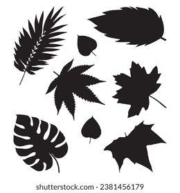 leaf silhouette isolated black on white background