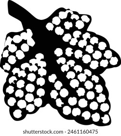 Leaf silhouette isolated on vector illustration. icon, vector, leaf.
