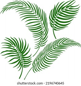 Leaf-Silhouette einzeln auf Weiß. Tropisches Blatt. Handgezeichnete Vektorgrafik.