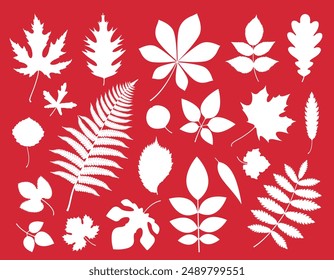 Leaf silhouette. Isolated leaf on white background