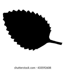 leaf silhouette on white background