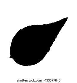 leaf silhouette on white background