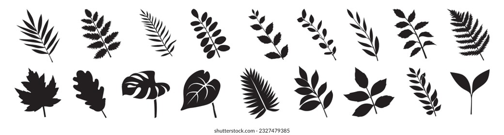 Silhouette de hojas. Conjunto de vectores de planta. Ilustración foliar.