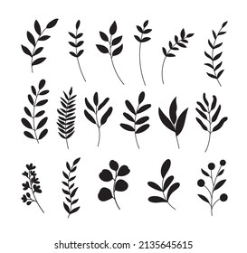Conjunto de silueta de hojas. Dibujado a mano con hojas y flores sobre fondo blanco.