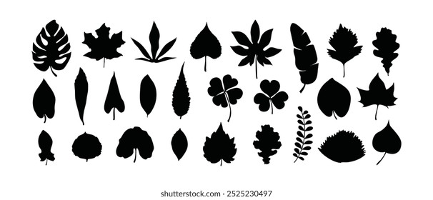  Leaf silhouette set, Leaves isolated on White Background