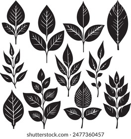 leaf silhouette vector design illustration