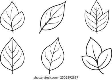 leaf silhouette vector line art illustration designs outline