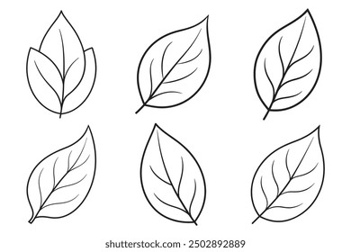 Blatt Silhouette Vektor Linie Kunst Illustration Designs Umriss