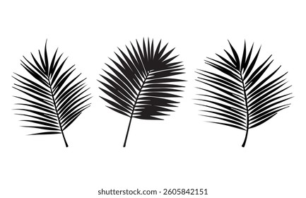 leaf silhouette vector set, black illustration,