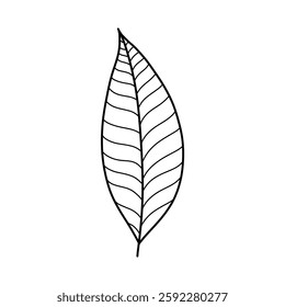 leaf silhouette vector symbol icon design.