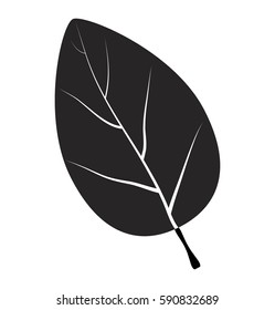  leaf silhouette vector symbol icon design. Beautiful illustration isolated on white background