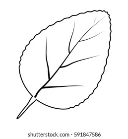  leaf silhouette vector symbol icon design. Beautiful illustration isolated on white background