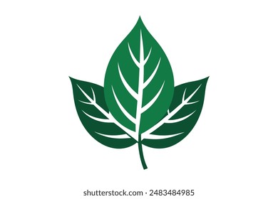 Leaf silhouette vector with white background