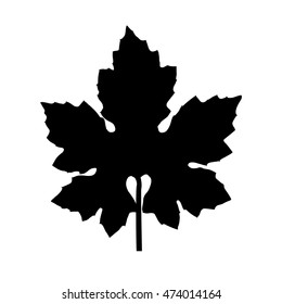 Leaf Silhouette for your design