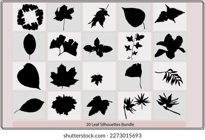 leaf silhouette,Black autumn leaves or foliage silhouettes,palm leaves silhouettes,silhouette branches with leaf