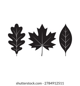 Leaf silhouettes black and white botanical illustration on white background