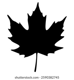 leaf silhouettes on the white background.  leaf silhouette vector art leave. Autumn Leaf Silhouette Vector Illustration.