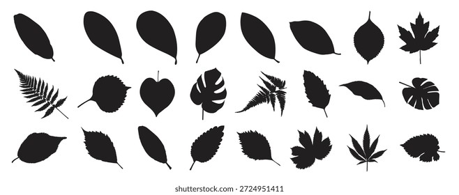 leaf silhouettes set vector illustration