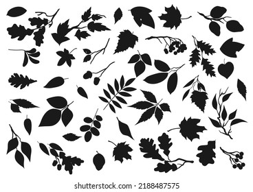 Leaf silhouettes, tree leaves and plant seeds icons. Vector isolated forest tree leaf of maple, birch or poplar, rowan berries and oak acorns, elm, chestnut, aspen and poplar sprout twigs svg