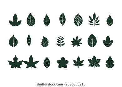 Leaf Silhouettes Vector Collection – Diverse Nature Botanical Elements
