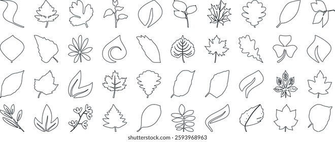 Leaf silhouettes, vector collection, diverse leaves shapes, nature elements. Ideal for eco friendly brand aesthetics, botanical illustrations, educational materials, artistic designs