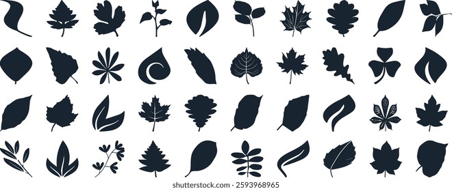 Leaf silhouettes, vector collection, diverse leaves shapes, nature elements. Ideal for eco friendly brand aesthetics, botanical illustrations, educational materials, artistic designs