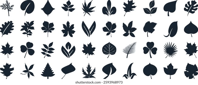 Leaf silhouettes, vector collection, diverse leaves shapes, nature elements. Ideal for eco friendly brand aesthetics, botanical illustrations, educational materials, artistic designs