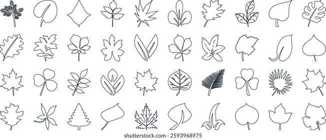 Leaf silhouettes, vector collection, diverse leaves shapes, nature elements. Ideal for eco friendly brand aesthetics, botanical illustrations, educational materials, artistic designs