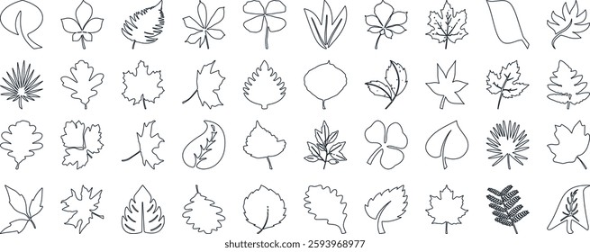 Leaf silhouettes, vector collection, diverse leaves shapes, nature elements. Ideal for eco friendly brand aesthetics, botanical illustrations, educational materials, artistic designs