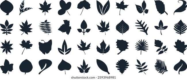 Leaf silhouettes, vector collection, diverse leaves shapes, nature elements. Ideal for eco friendly brand aesthetics, botanical illustrations, educational materials, artistic designs