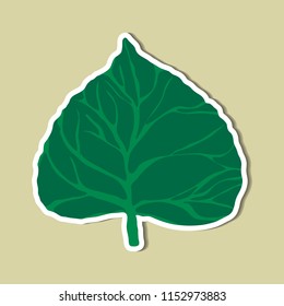 leaf of simple color illustrations