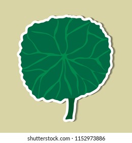 leaf of simple color illustrations