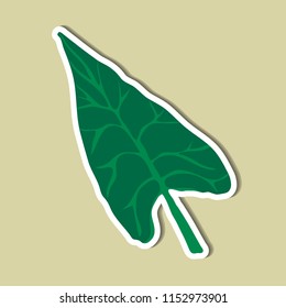 leaf of simple color illustrations