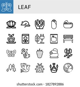 Blatt einfache Symbole gesetzt. Enthält Symbole wie Butterfly, Lotus Blume, Tierversuche, Sprout, Corn, Salad, Kräutertee, Gartenblüten, Bio, Apple, kann für Web, Handy und Logo verwendet werden