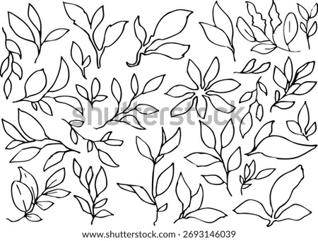 Leaf, simple line drawing illustration of tree leaves, vector
