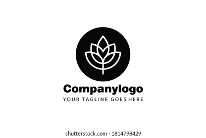 Leaf for simple logo design. leaf illustration vector template